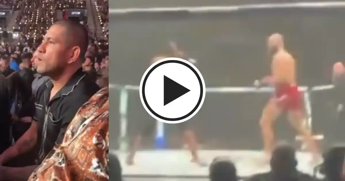 alex pereira s animated reaction to fight between jiri prochazka and jamahal hill