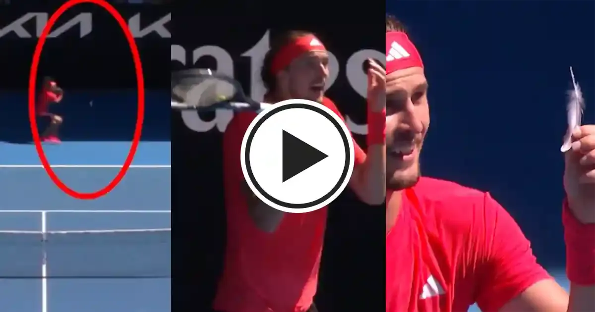 alexander zverev loses cool after umpire asks for replay for points because of feather on court sportstiger