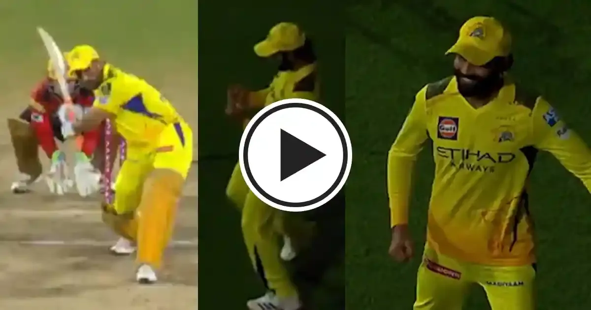 dhoni jadeja sportstiger