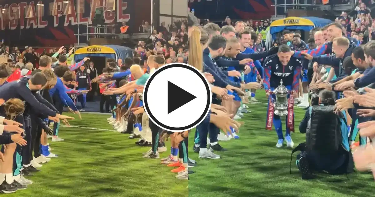 joel ward gets guard of honour following crystal palace s win over wolves breaks down at event