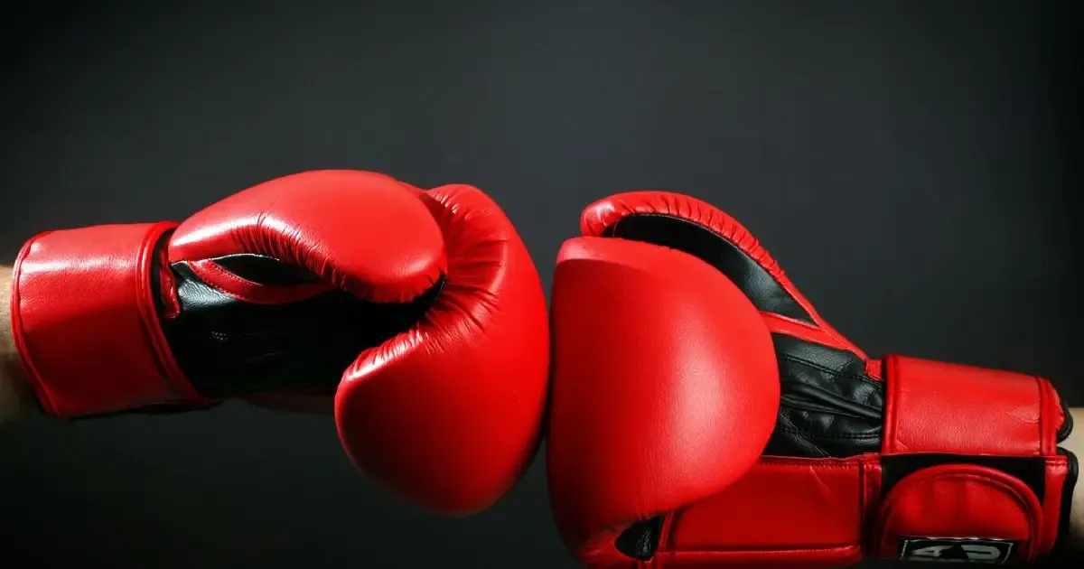 boxer files fir