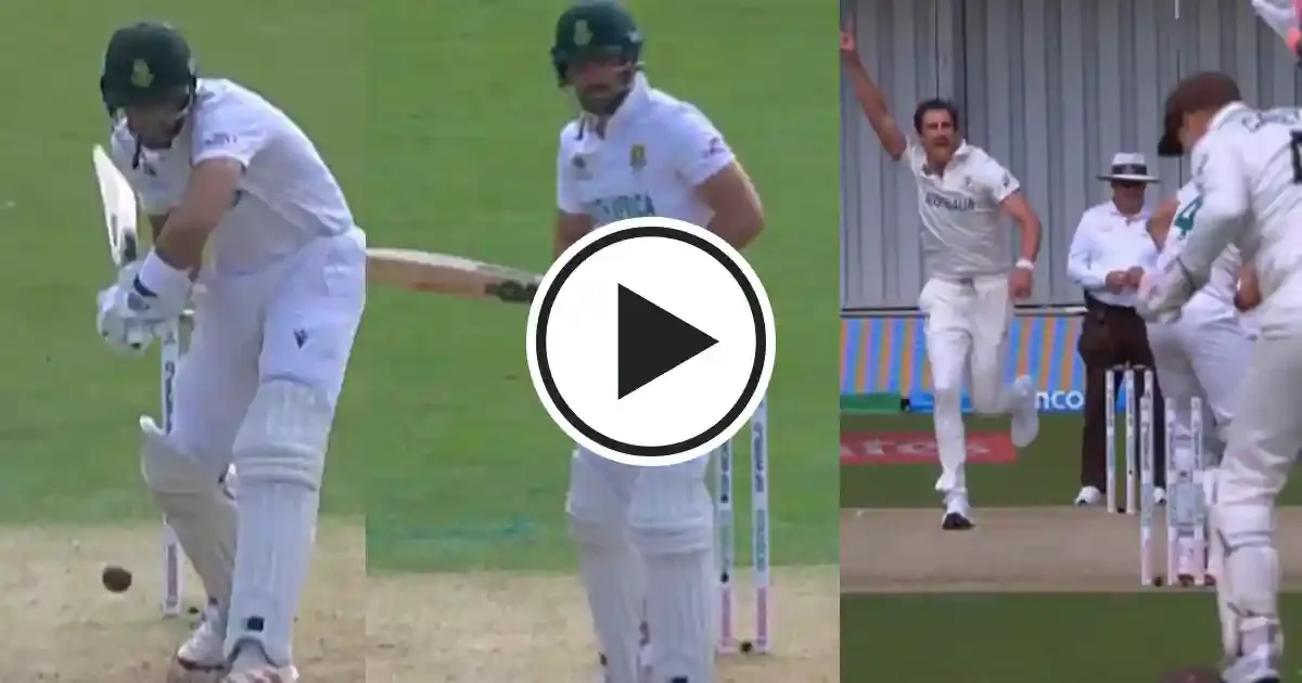 mitchell starc sportstiger