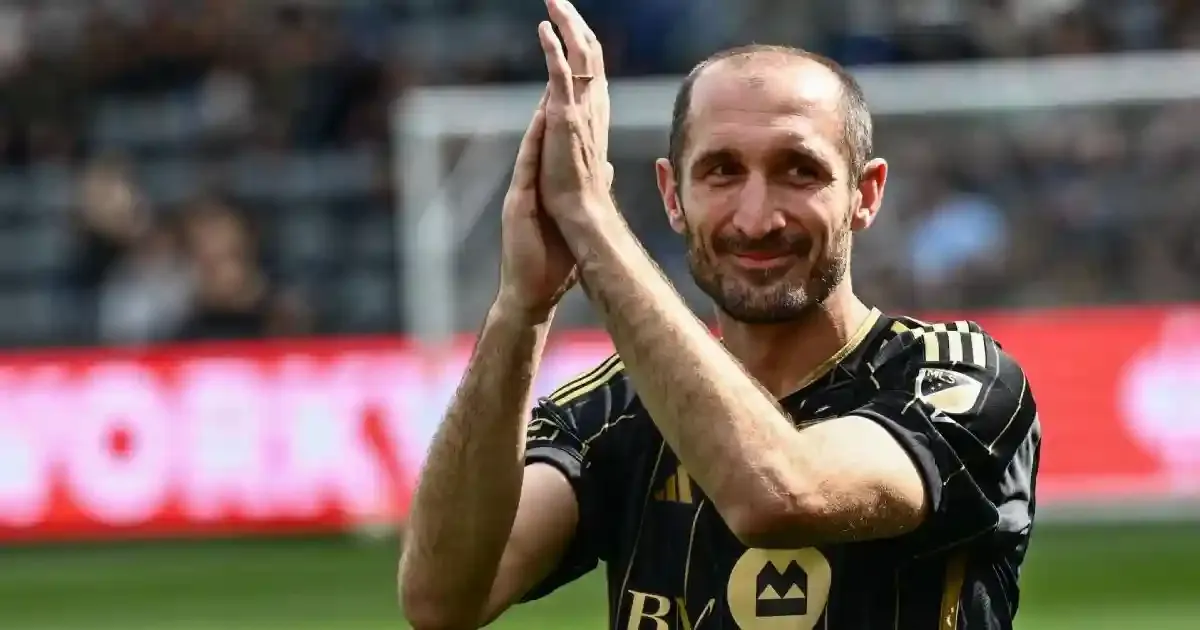 giorgio chiellini becomes a part of afc ownership