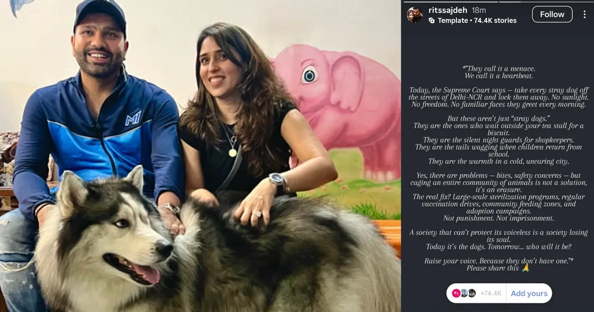 they call it a menace we call it a heartbeat ritika sajdeh reacts to sc s directive on stray dogs in delhi ncr