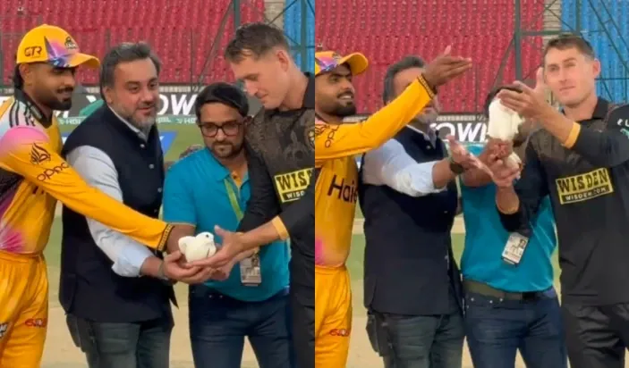 psl white dove release