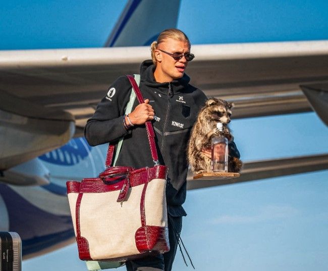 erling haaland carries whiskey racoon on return to norway after fifa world cup 2026 disappointment
