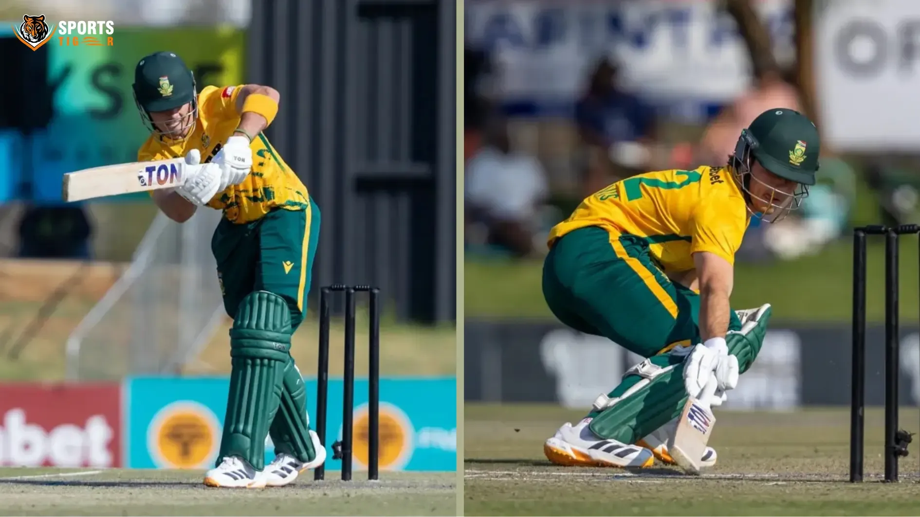 Dewald Brevis’ 75 powers South Africa
